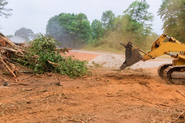 Ground Clearing in Ventura