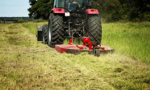 Brush Clearing Service in Ventura