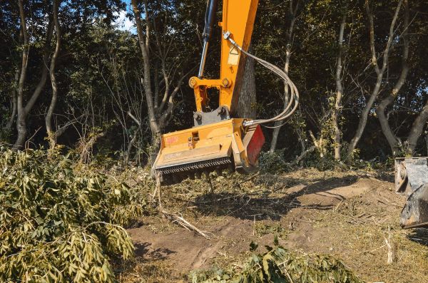 Brush Removal Service in Ventura