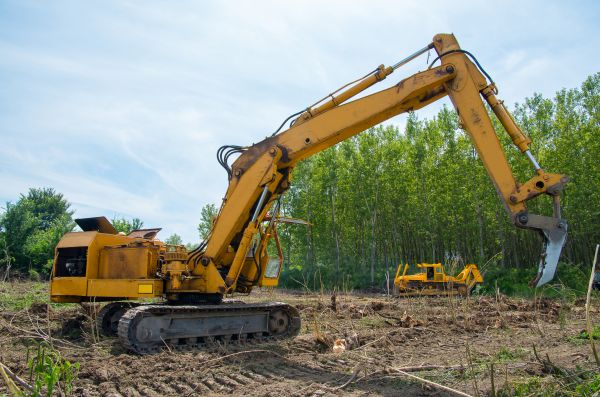 Cost of Farm Clearing in Ventura
