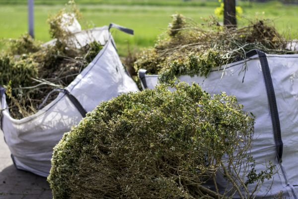 Cost of Bushes Clearing in Ventura