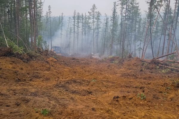 Cost of Hill Clearing in Ventura