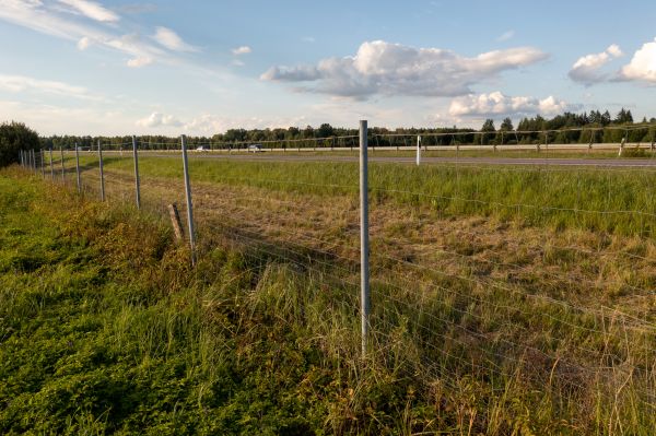 Cost of Property Line Clearing in Ventura