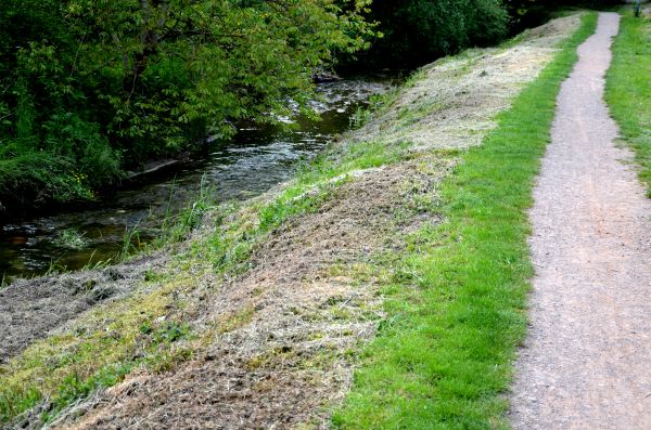 Cost of Trail Cutting in Ventura