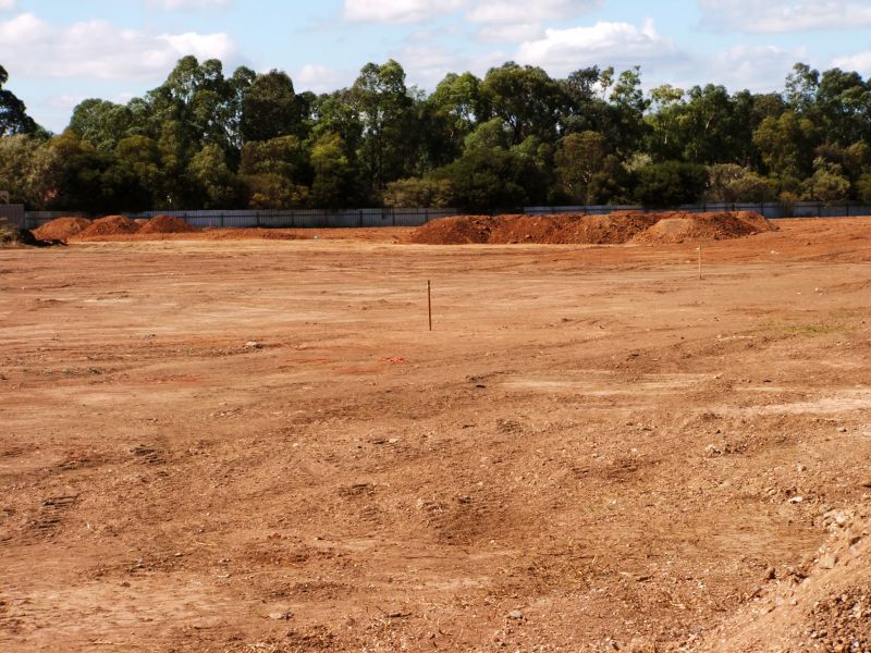 Land Clearing Project Planning